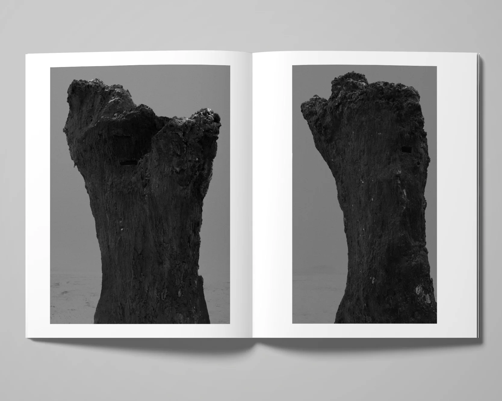 Image of Tom Callemin – Double Reality Image of Tom Callemin – Double Reality