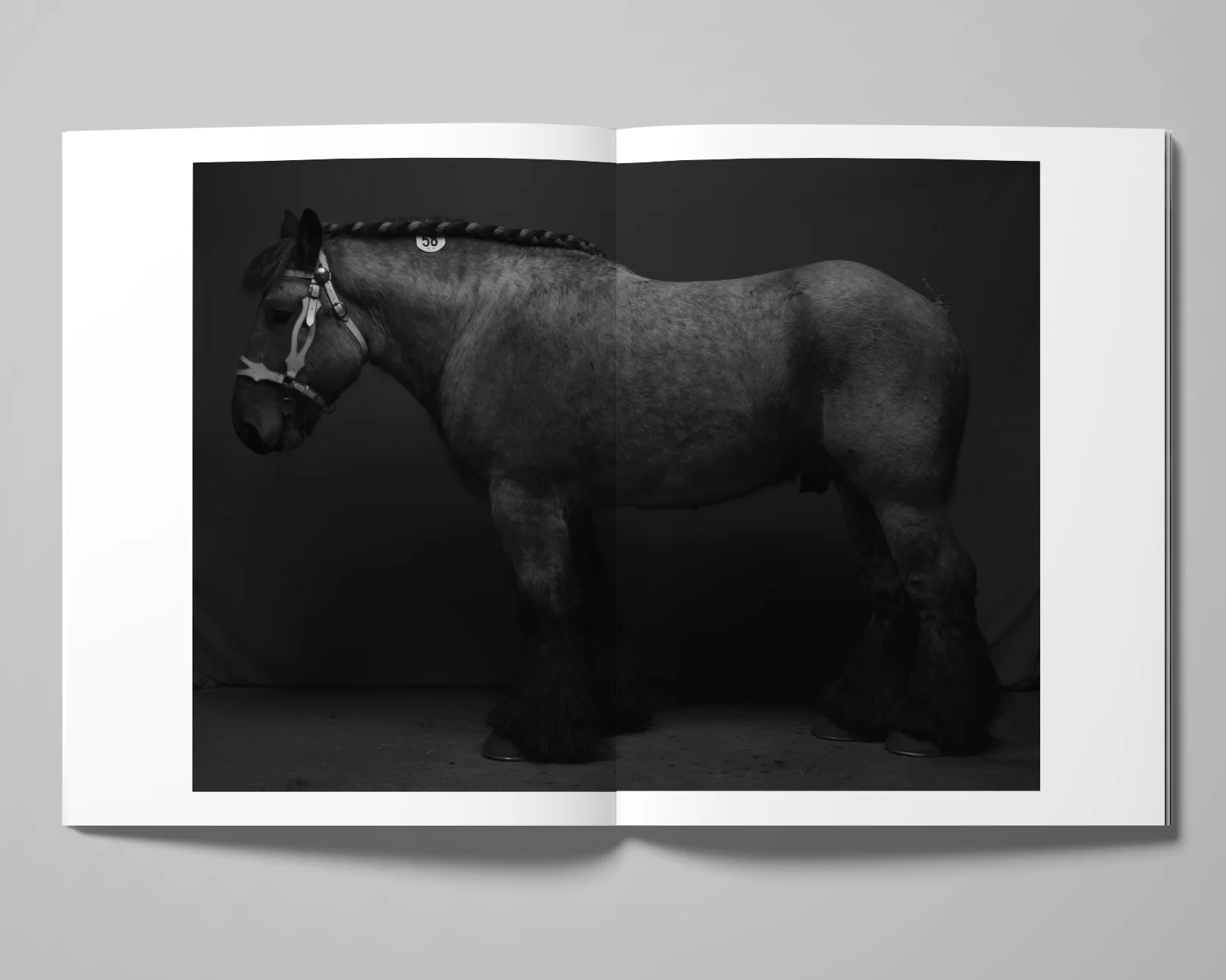 Image of Tom Callemin – Double Reality Image of Tom Callemin – Double Reality