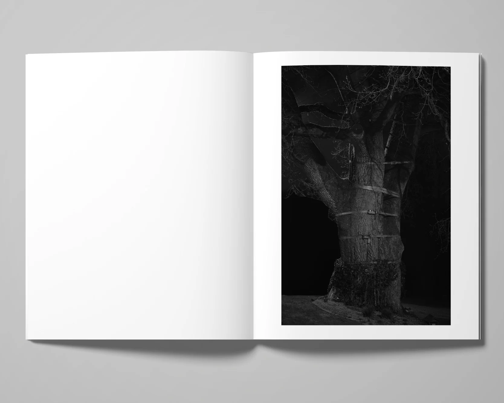 Image of Tom Callemin – Double Reality Image of Tom Callemin – Double Reality