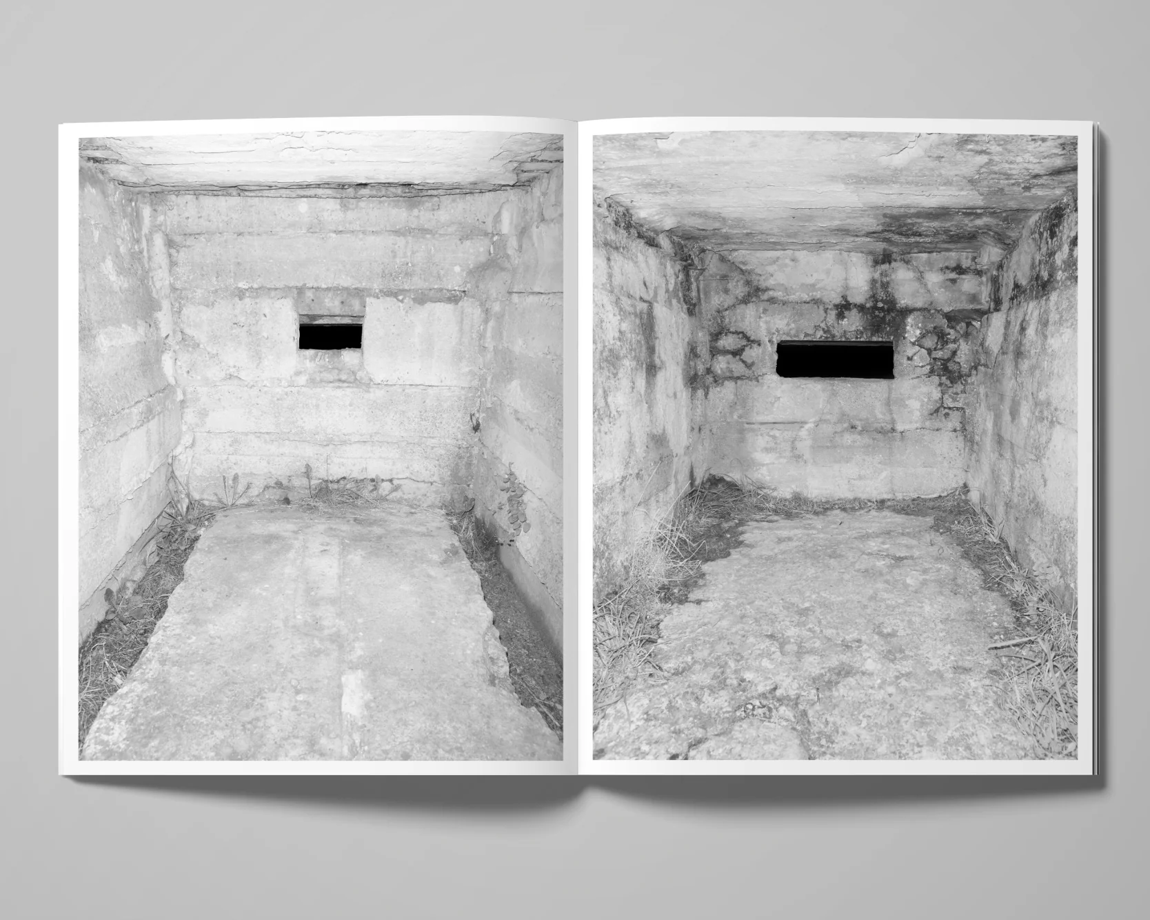 Image of Tom Callemin – Double Reality Image of Tom Callemin – Double Reality