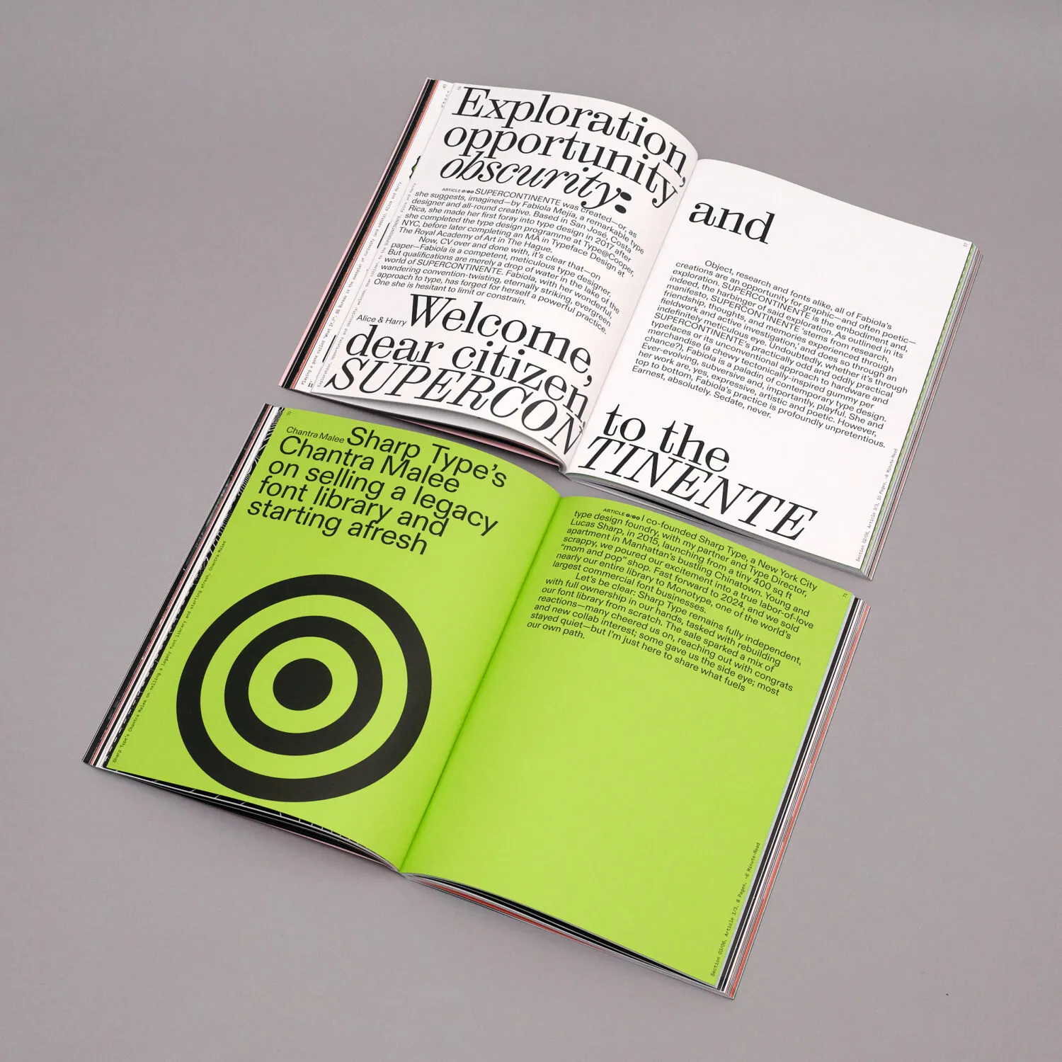 Image of TYPEONE Issue 10