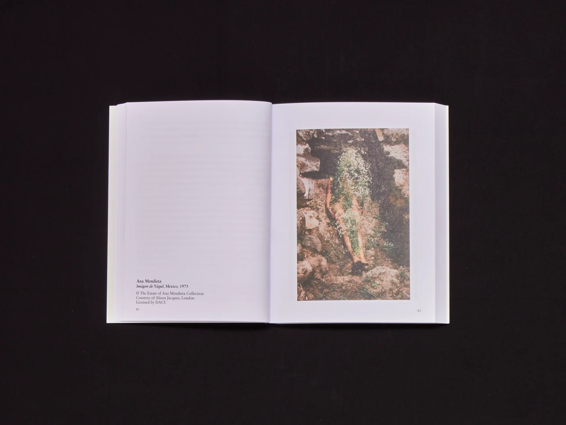 Image of Olivia Laing and Richard Porter – A Garden Manifesto