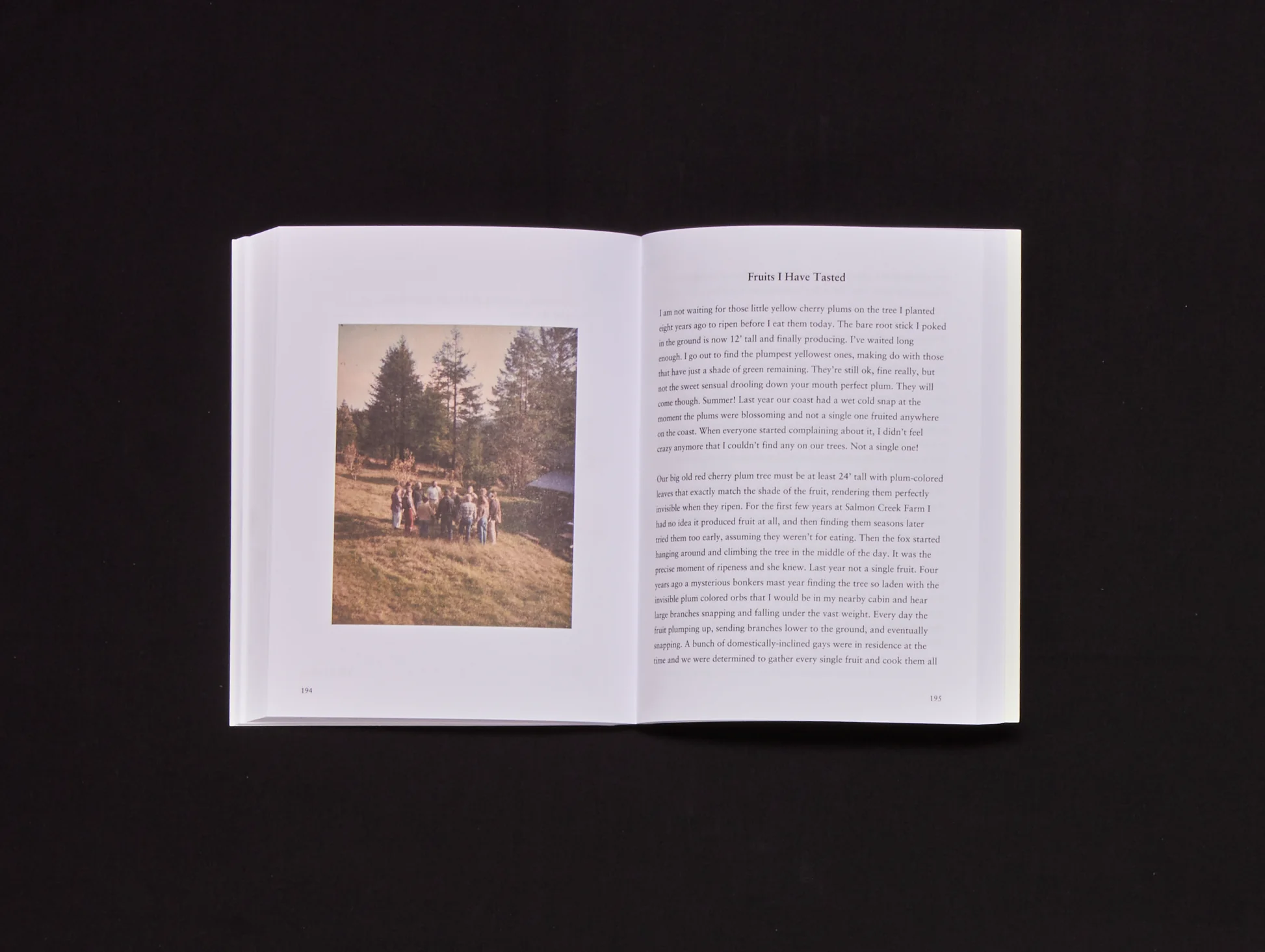 Image of Olivia Laing and Richard Porter – A Garden Manifesto