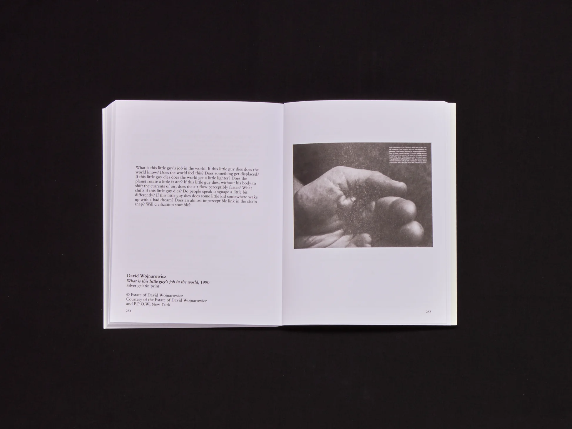 Image of Olivia Laing and Richard Porter – A Garden Manifesto