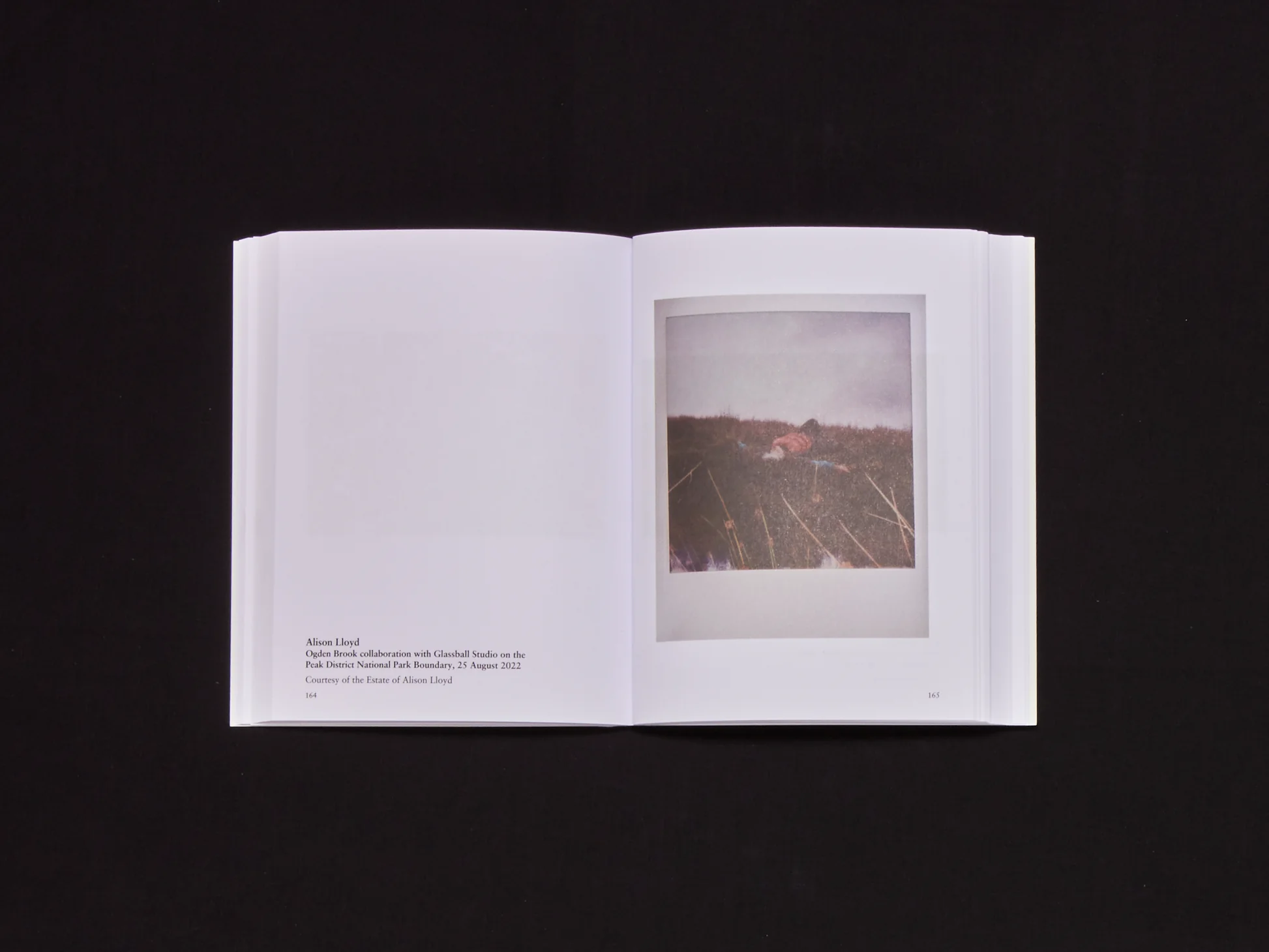 Image of Olivia Laing and Richard Porter – A Garden Manifesto