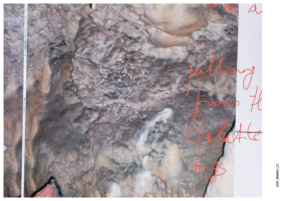 Image of Curatorial Design – A Place Between