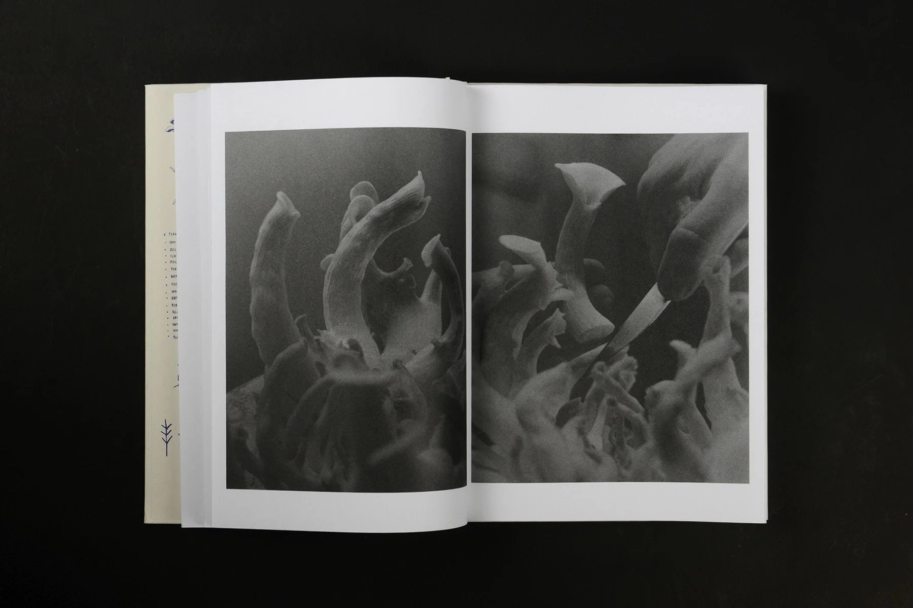 Image of Joselito Verschaeve – As Long as the Sun Lasts