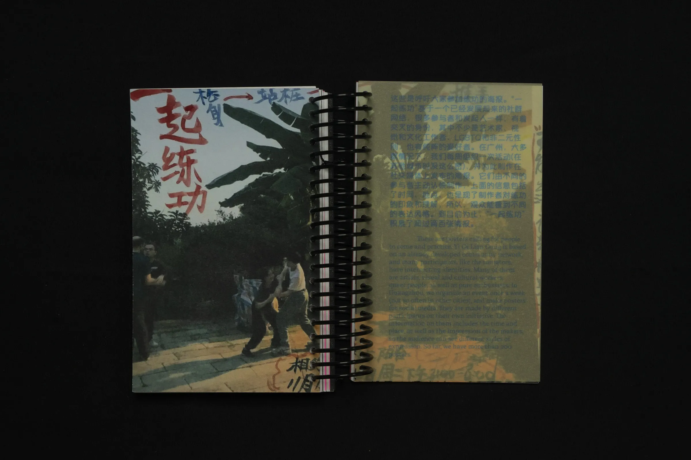 Image of Morgan Steyaert – Queer and Feminist Interventions for Martial Arts