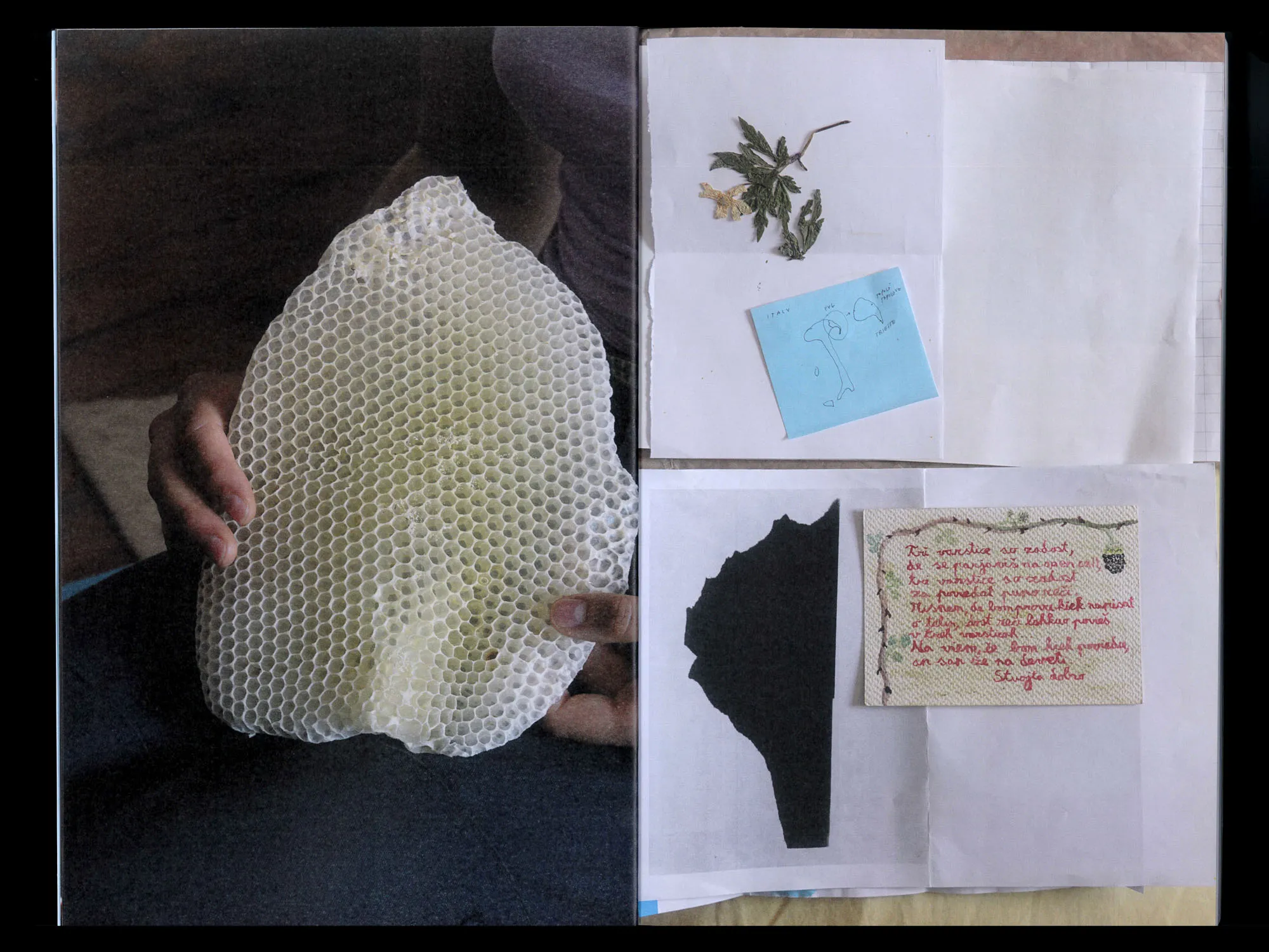 Image of Robida 10 – Correspondences