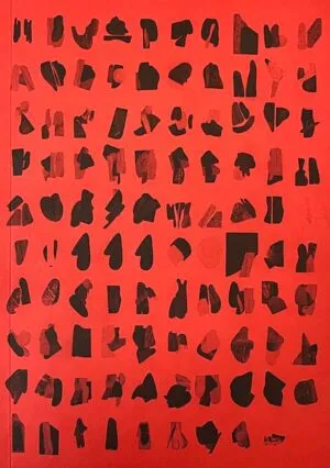 Image of 99 COLLAGES 