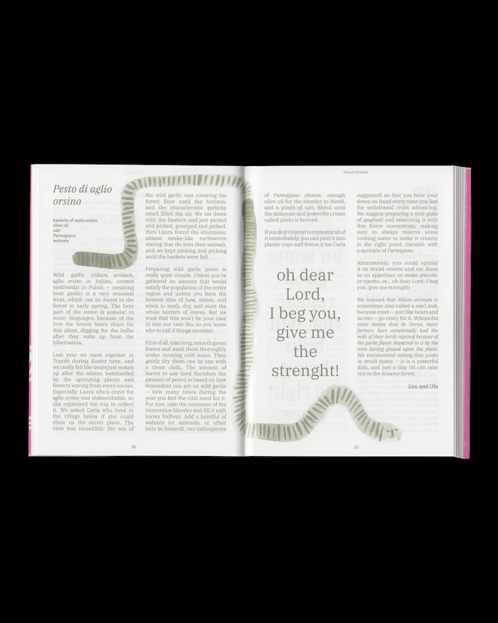 Image of Who is Cooking? The recipes of IZBA