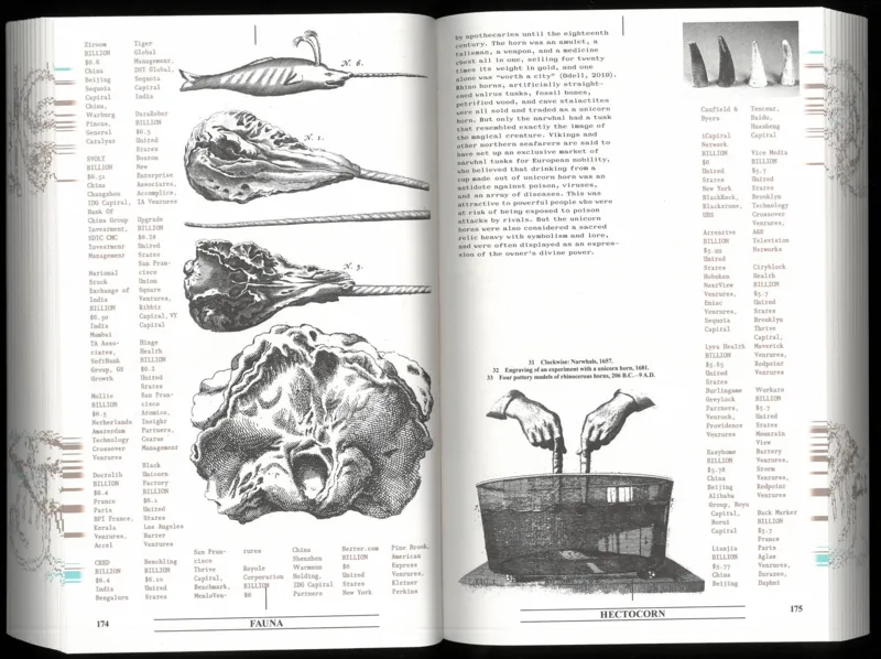 Image of Eline Benjaminsen & Dayna Casey – Collapsed Mythologies A Geofinancial Atlas