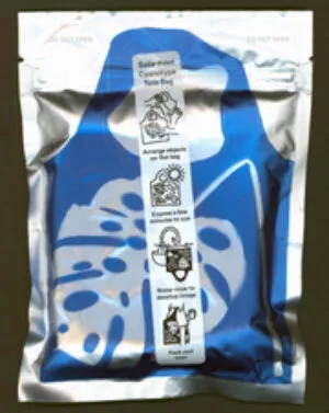 Image of Solar Print Cyanotype Tote Bag (new bag)