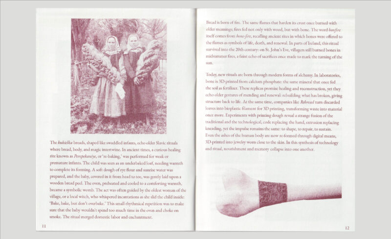 Image of Alma Agatha Johanna Teer – Bread & Bones