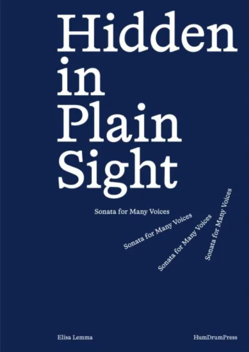 Hidden in Plain Sight by Elisa Lemma. Published by HumDrumPress, 2025