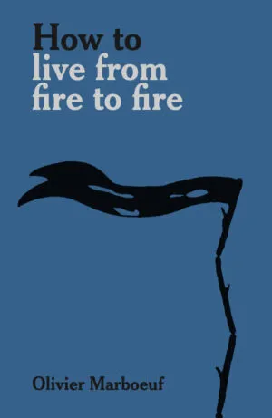Image of How to live from fire to fire