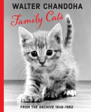 Image of Family Cats – From the archive 1950-1969