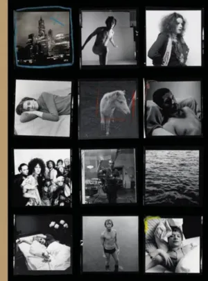 Image of Hujar:Contact