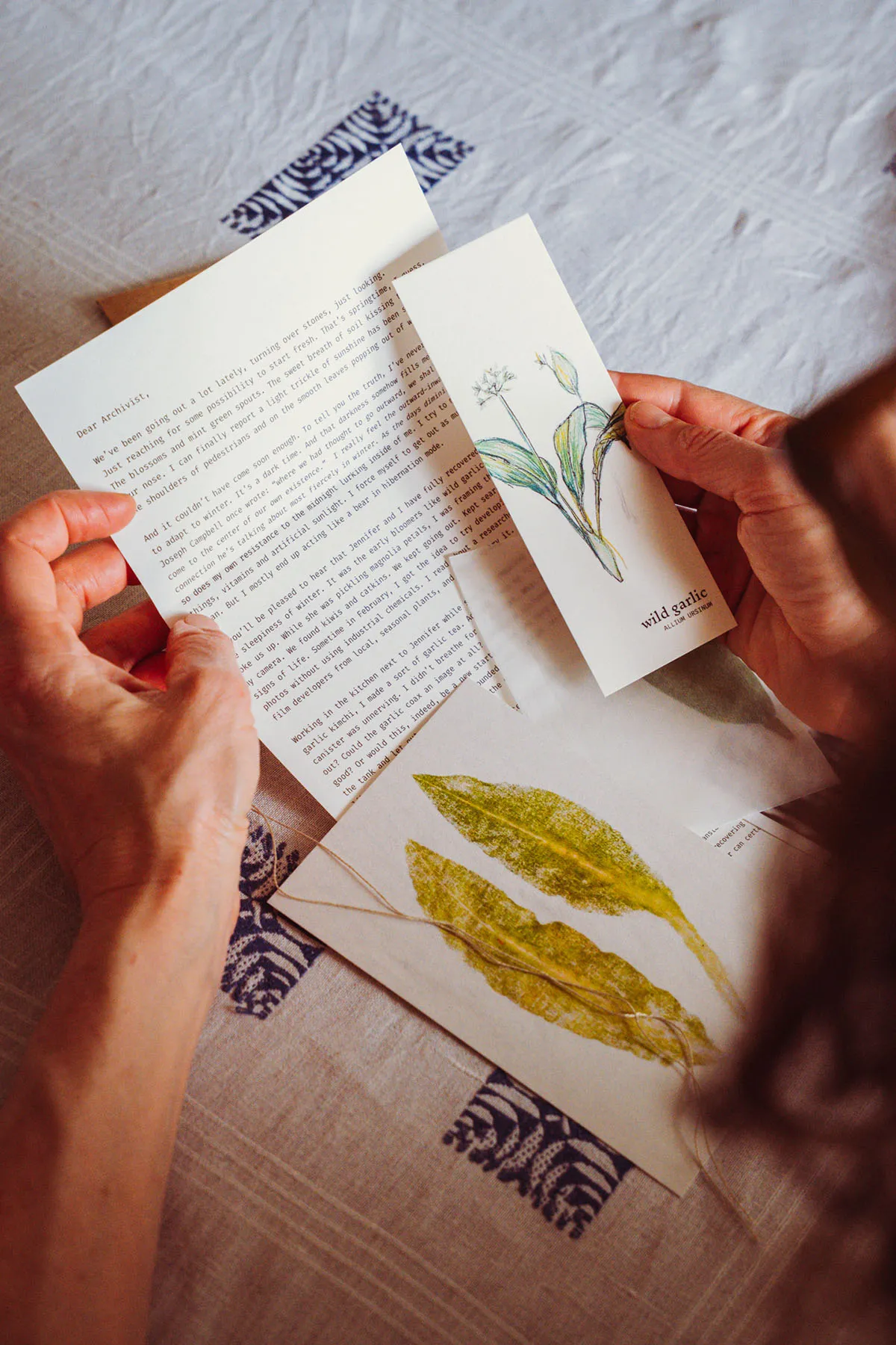 Image of The wild seasons archive #000 Wild garlic