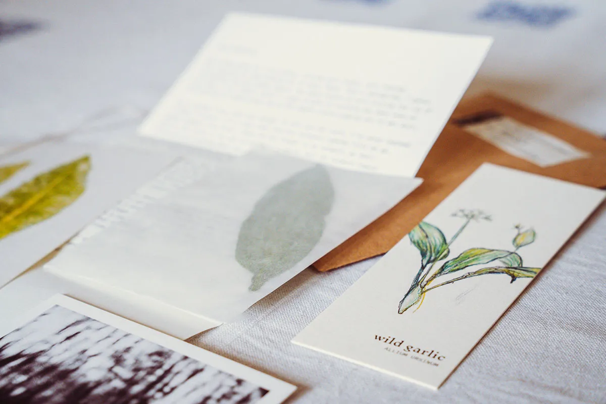 Image of The wild seasons archive #000 Wild garlic