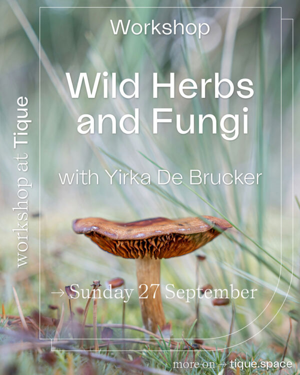Workshop Wild Herbs and Fungi. Published by Tique Workshop Wild Herbs and Fungi. Published by Tique