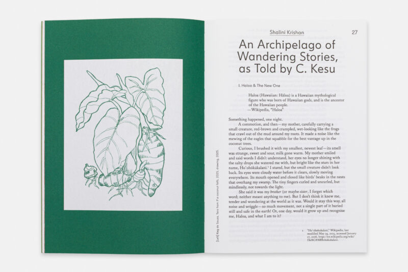 Image of Follow the Plants